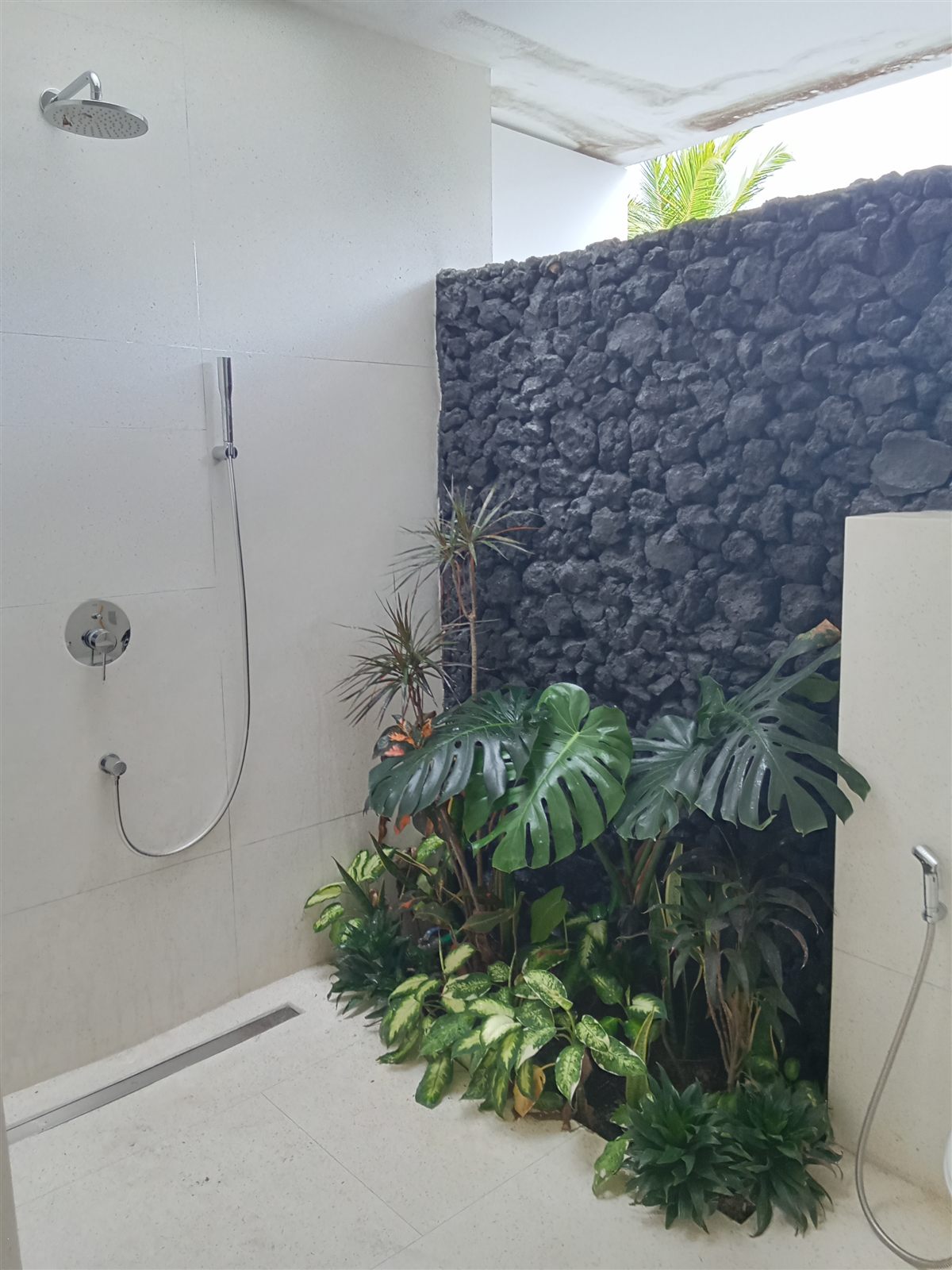 Taman Kering