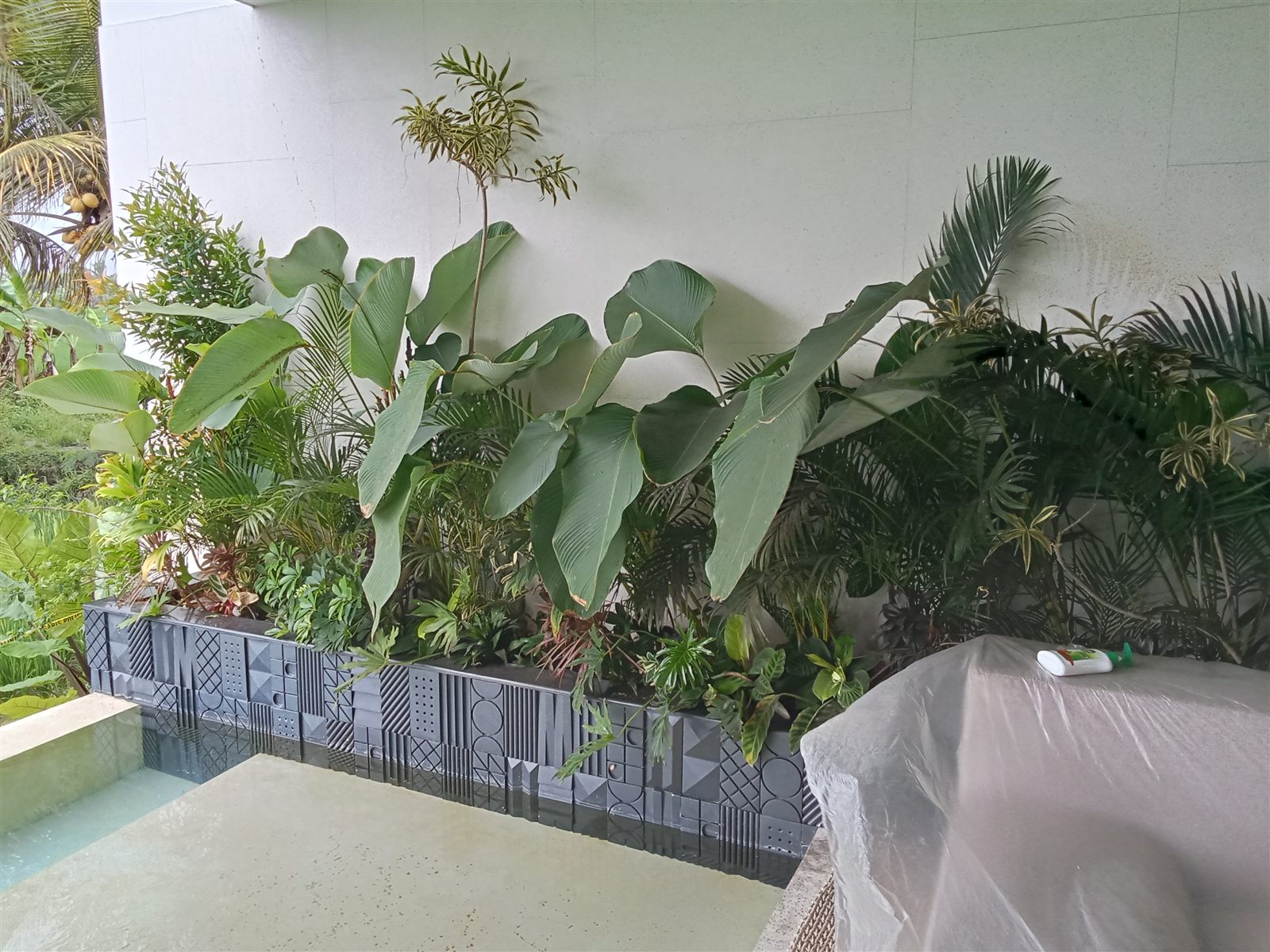 Garden Renovation