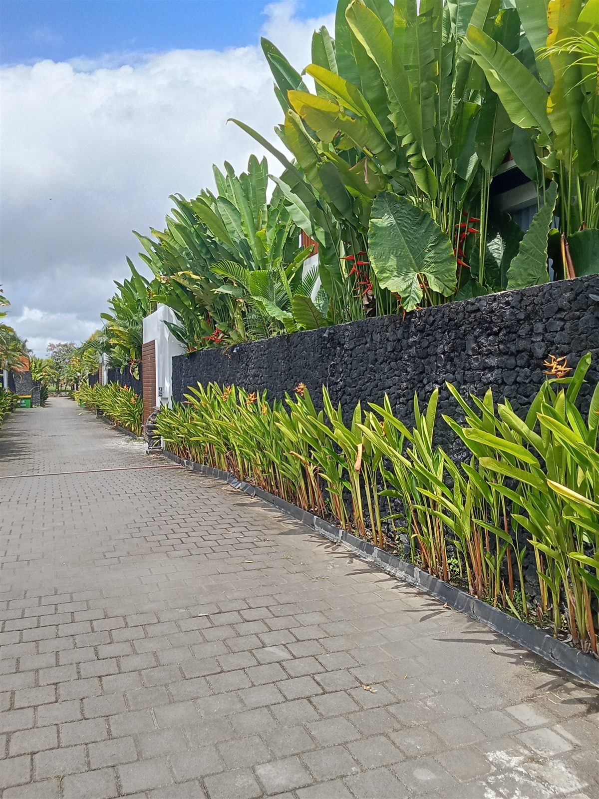 Lanskap Koridor Villa & Area Hospitality